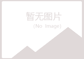 高安夏日化学有限公司